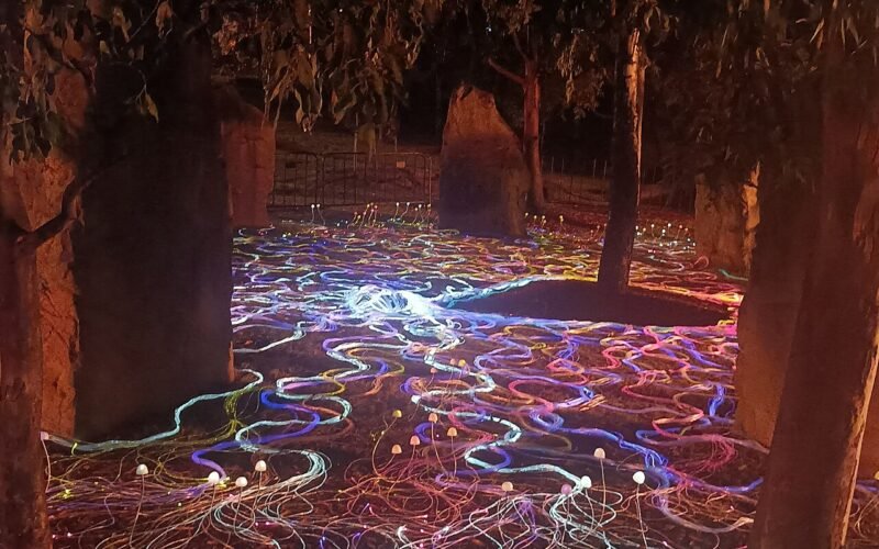 Barangaroo Reserve, Sydney