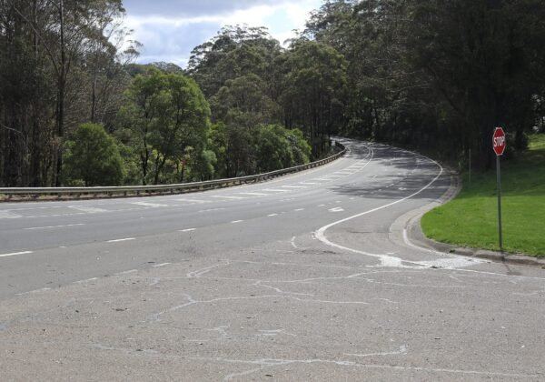 Bells Line of Road winding through Mount Tomah, Blue Mountains NSW