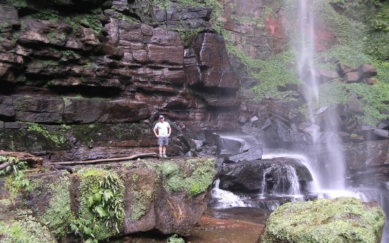 Belmore Falls plunging into the rainforest gorge seen from below, Kangaroo Valley NSW