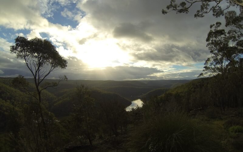 Berowra Valley.jpg
