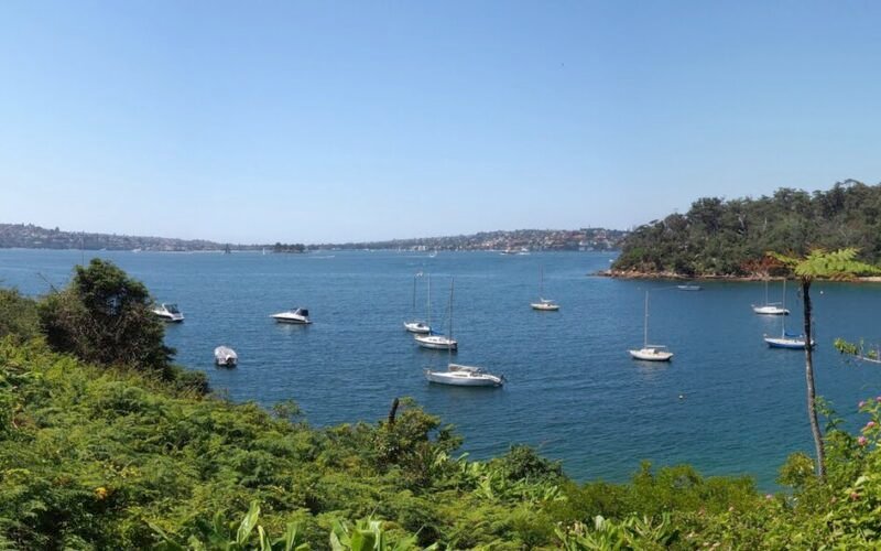 Bradleys Head - panoramio (2).jpg