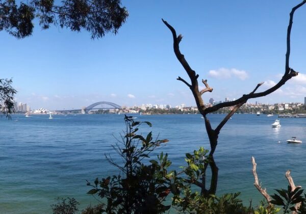 Bradleys Head - panoramio.jpg