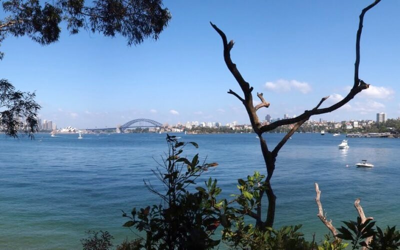 Bradleys Head - panoramio.jpg