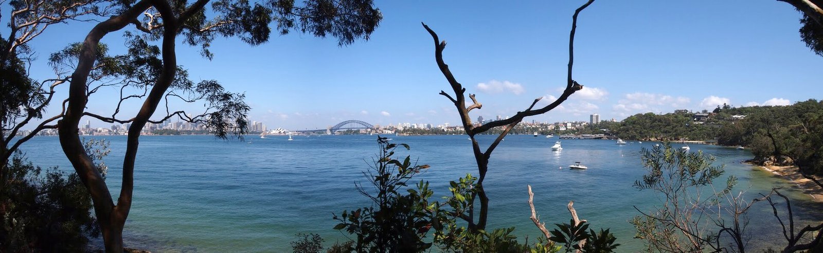 Bradleys Head - panoramio.jpg