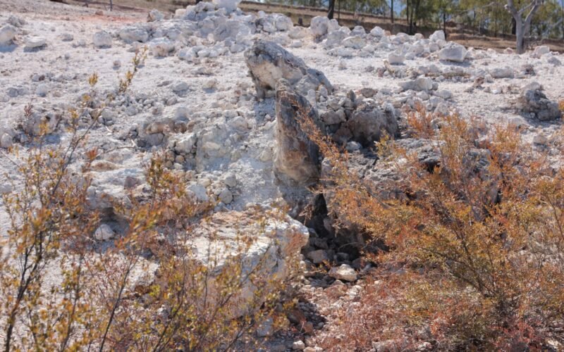 Burning Mountain summit area