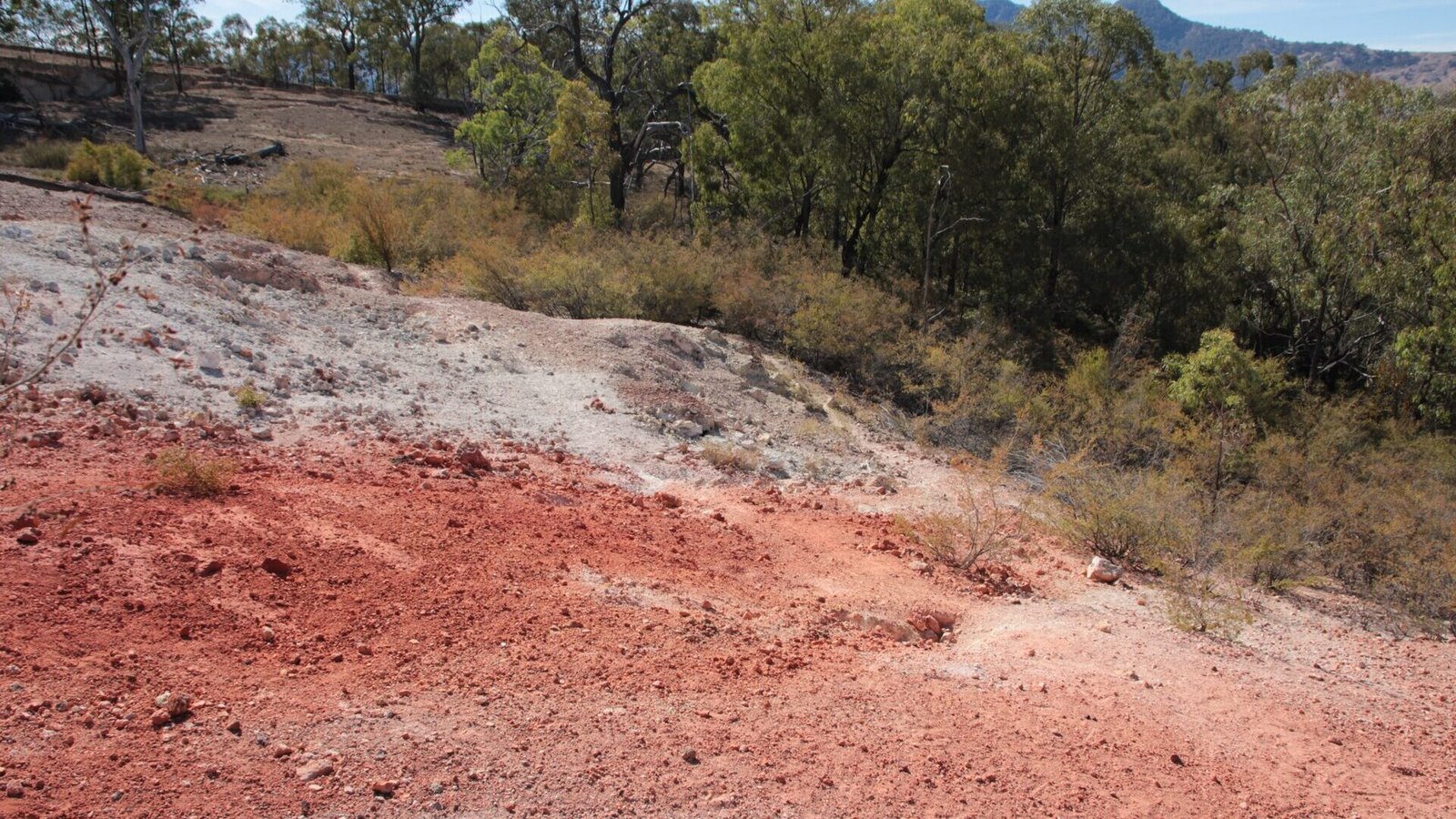 The smouldering summit vents of Burning Mountain (Mount Wingen), Upper Hunter NSW
