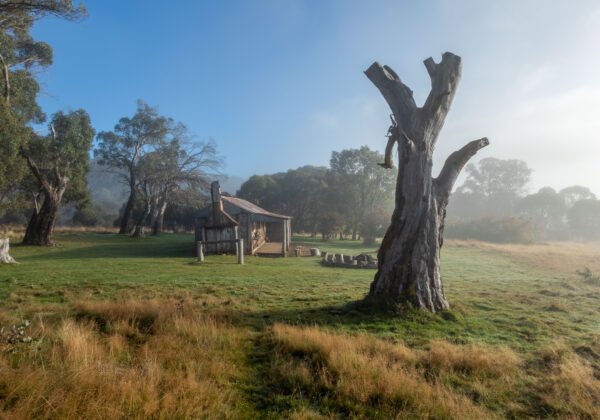 Historic timber hut at misty dawn in Kosciuszko National Park, NSW