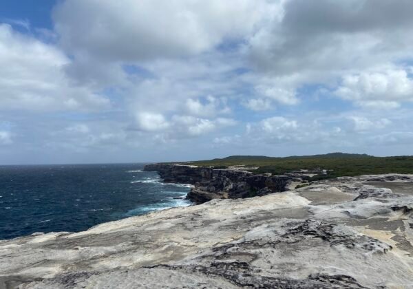 Cliff face and ocean at Cape Solander, Kamay Botany Bay National Park