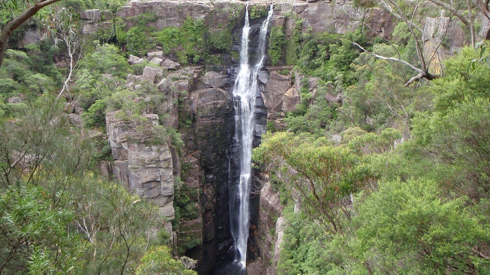 Carrington Falls plunging 50 metres into the Kangaroo River gorge, Budderoo National Park NSW