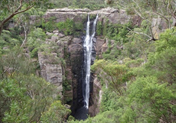 Carrington Falls plunging 50 metres into the Kangaroo River gorge, Budderoo National Park NSW