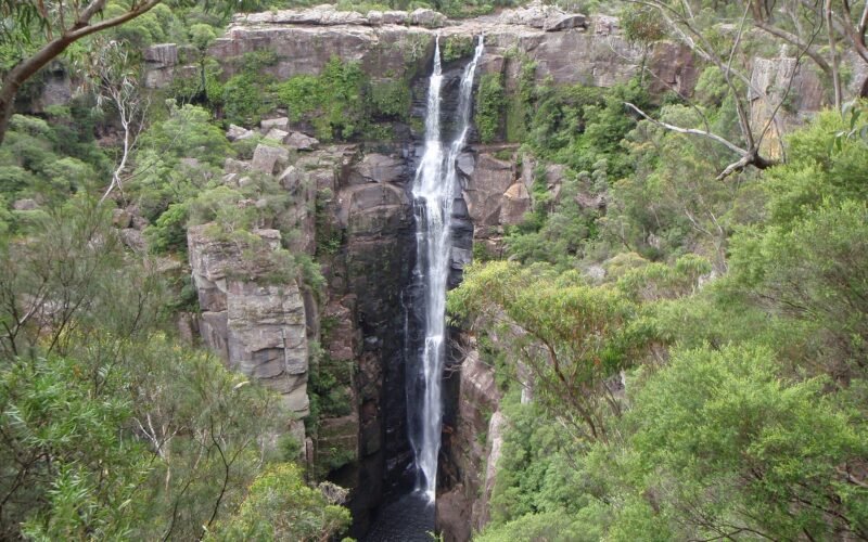 Carrington Falls plunging 50 metres into the Kangaroo River gorge, Budderoo National Park NSW