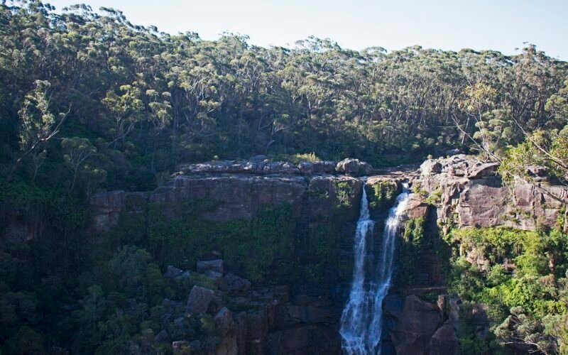 Carrington Falls seen across the escarpment from Falls View lookout, NSW