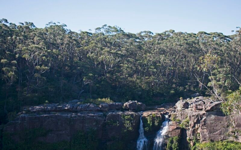 Carrington Falls and the Kangaroo River gorge from the Falls View lookout