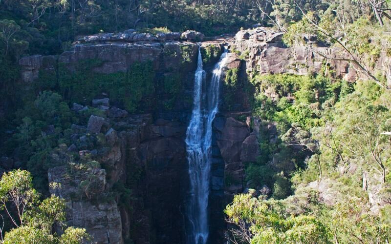 The full 50-metre drop of Carrington Falls into the rainforest gorge