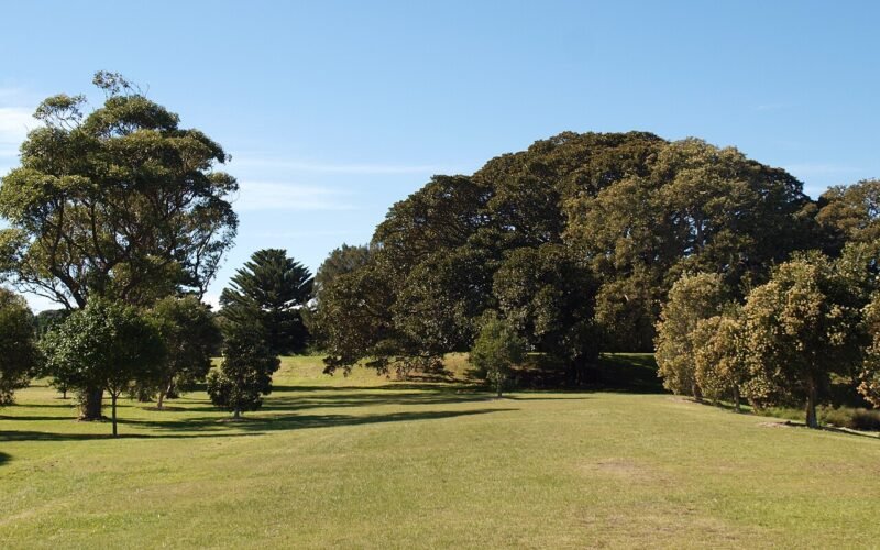 Centennial Park, Sydney