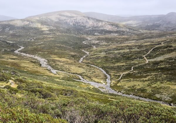 View of the Kosciuszko Main Range from Charlotte Pass
