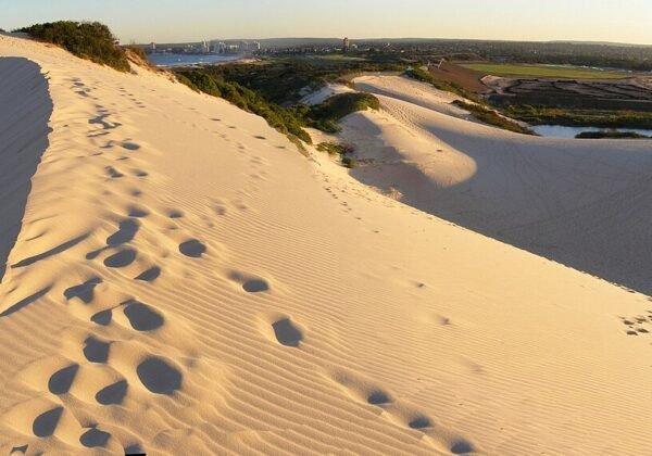 Cronulla–Wanda Sand Dunes