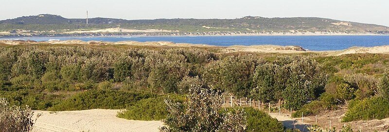 Cronulla–Wanda Sand Dunes