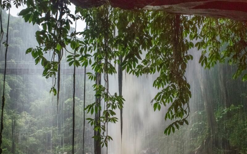 crystal shower falls