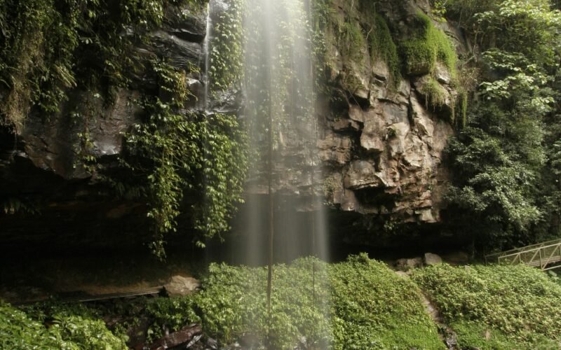 crystal shower falls
