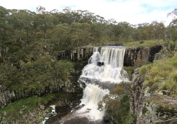 Upper Ebor Falls beside the Waterfall Way, New England NSW