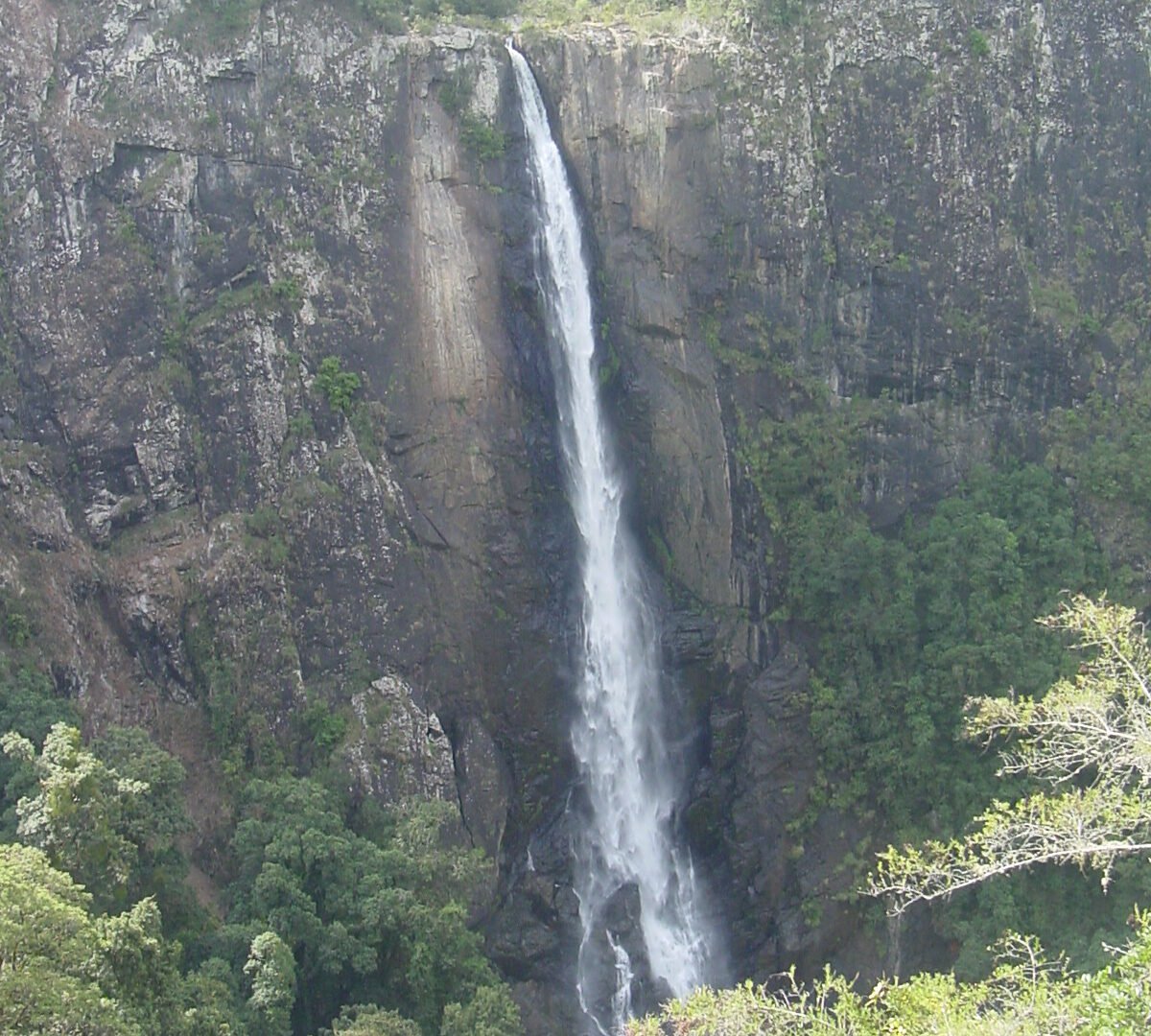 ellenborough-falls-r2-11 - AustralianSecret ellenborough falls