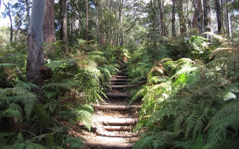 ellenborough falls
