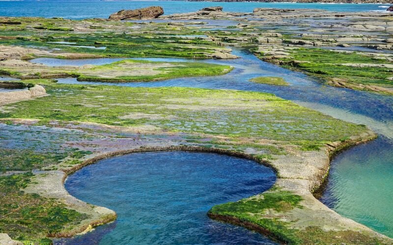 Figure Eight Pools & Burning Palms
