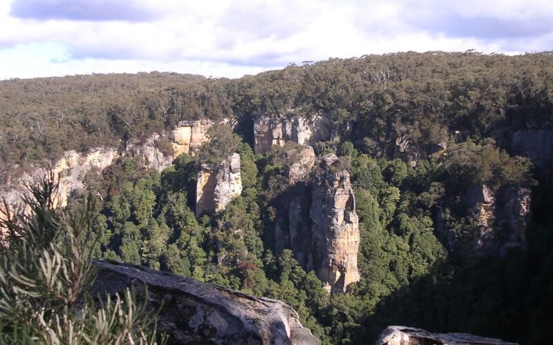 fitzroy falls