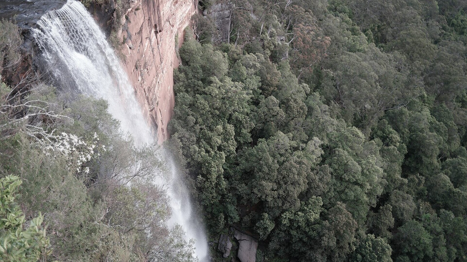 fitzroy falls