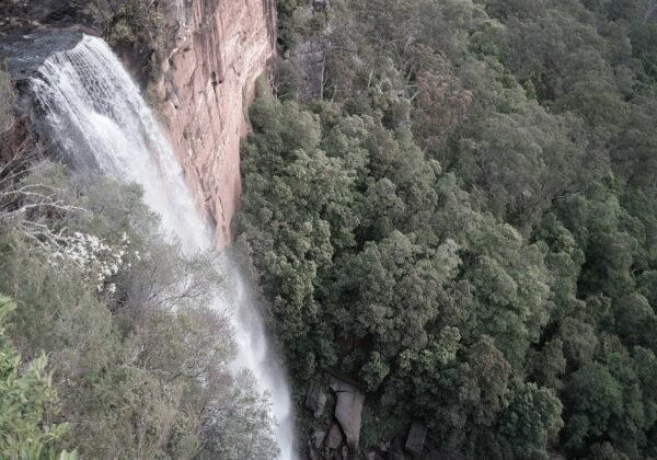 fitzroy falls