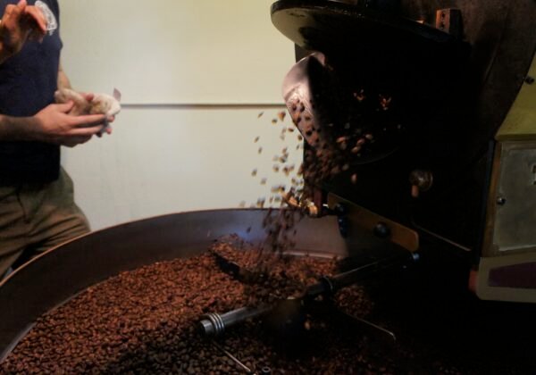 Freshly roasted coffee beans at a Sydney roaster