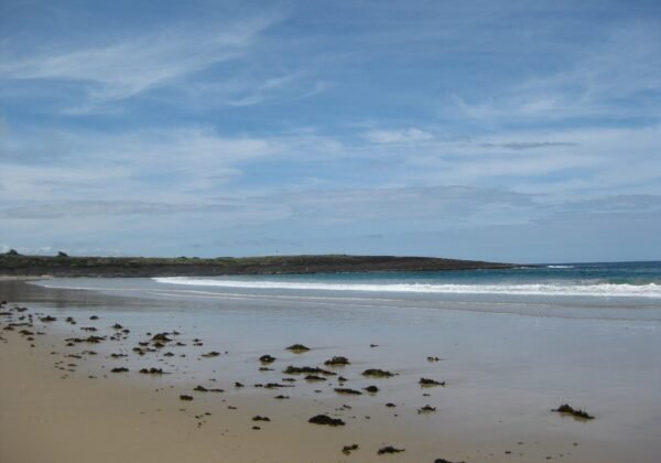 bawley point
