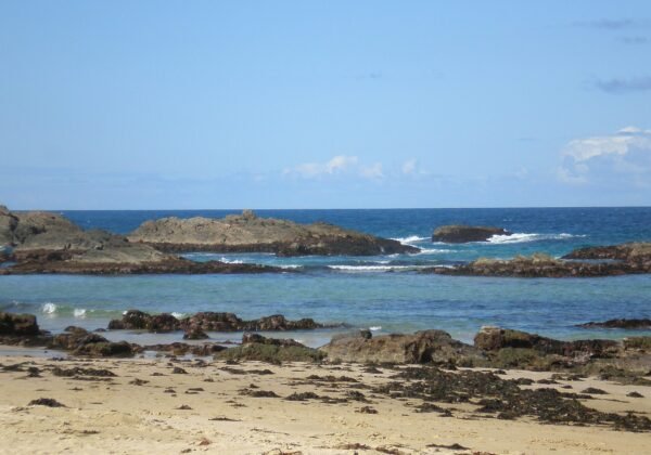 mystery bay