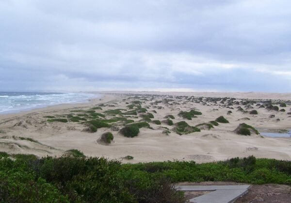 port stephens anna