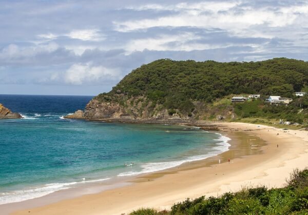 seal rocks