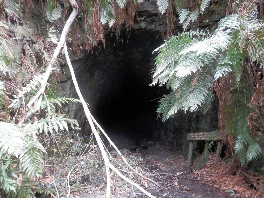 Glow Worm Tunnel, Wolgan Valley