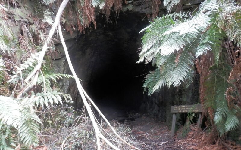 The entrance of the Glow Worm Tunnel through rainforest, Wollemi National Park NSW