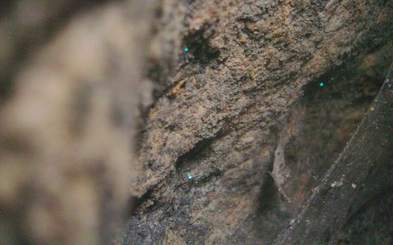 Glow worms lighting the walls inside the Newnes railway tunnel