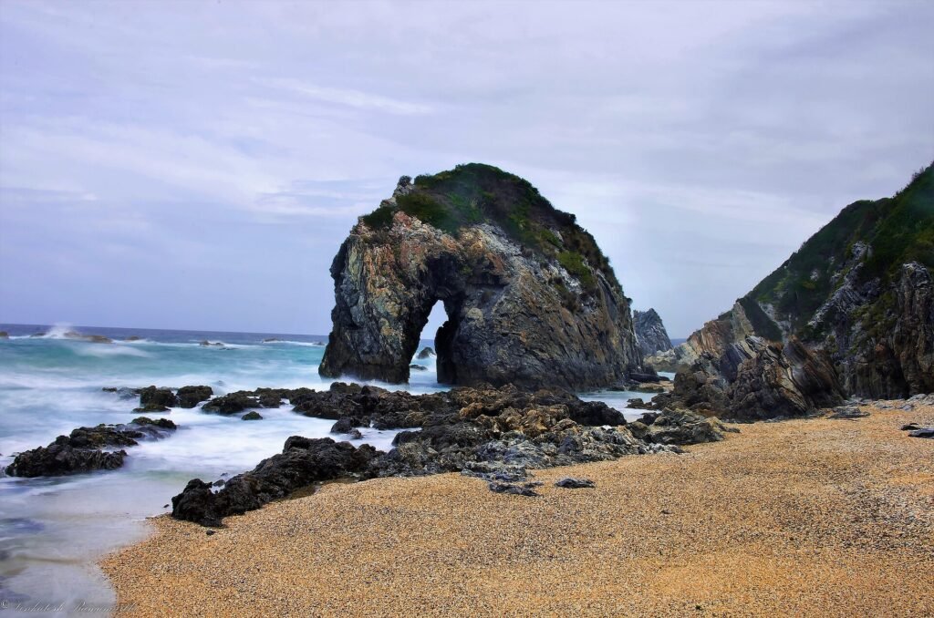 Horse Head Rock, Bermagui