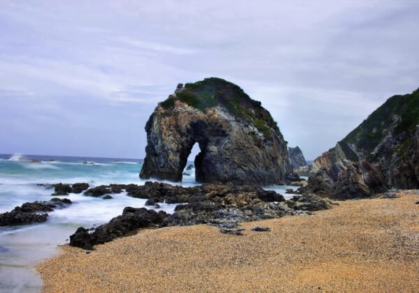 Horse Head Rock, Bermagui