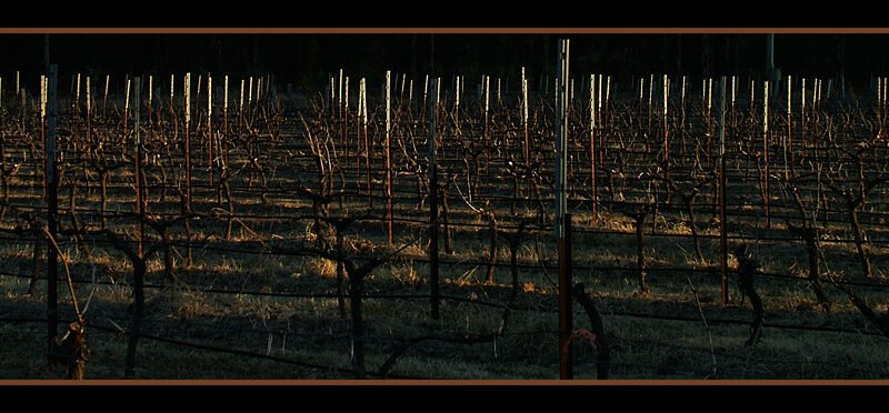 Hunter Valley vineyards, Pokolbin