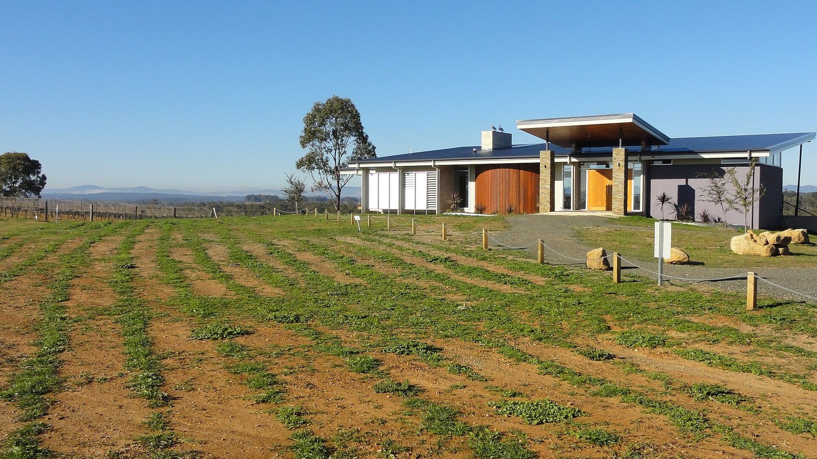 Hunter Valley Vista - panoramio.jpg