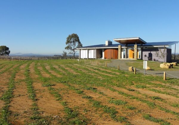 Hunter Valley Vista - panoramio.jpg