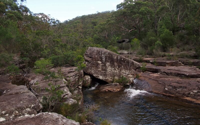 Kangaroo Creek near Karloo Pools