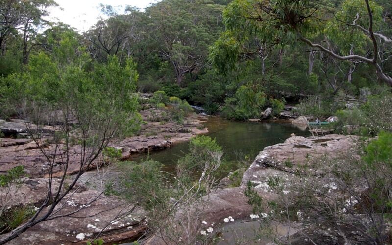 Kangaroo Creek, Royal National Park