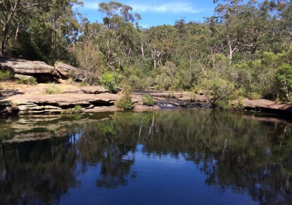 The clear swimming hole of Karloo Pools on Kangaroo Creek, Royal National Park NSW