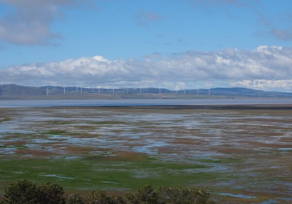 Lake George (Weereewa)