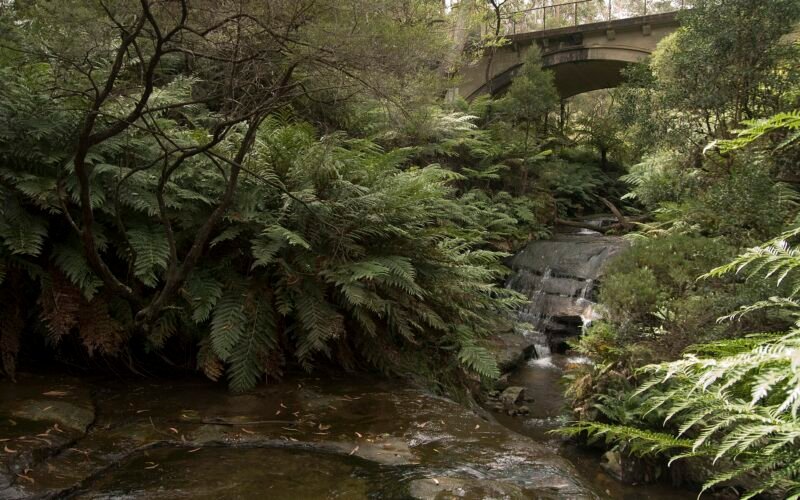 leura cascades