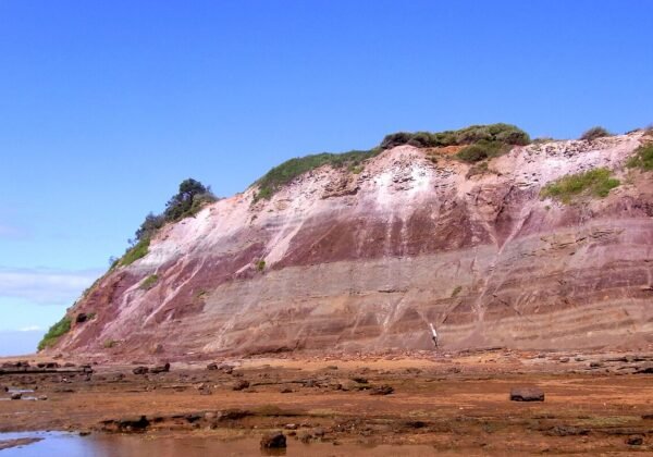Long Reef Headland, Collaroy